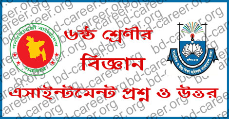 class 6 Science Assignment answer