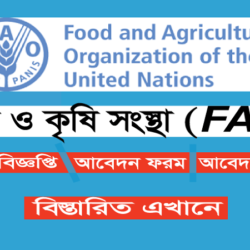 Food and Agriculture Organization FAO Job Circular 2022