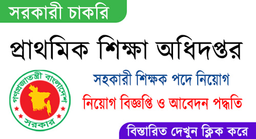 Primary Education Directorate DPE Job Circular 2023