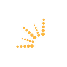 Commerce Inspector Extension