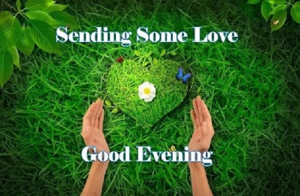 Good Evening Wishes Messages