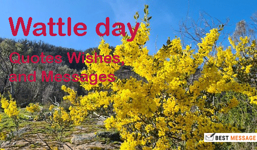 wattle day quotes wishes