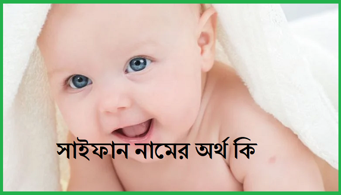 saifan Namer ortho photo